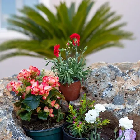 Nightingale & Corfu *